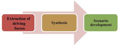 Future scenarios of palliative care in health system of Iran: a multi-method study